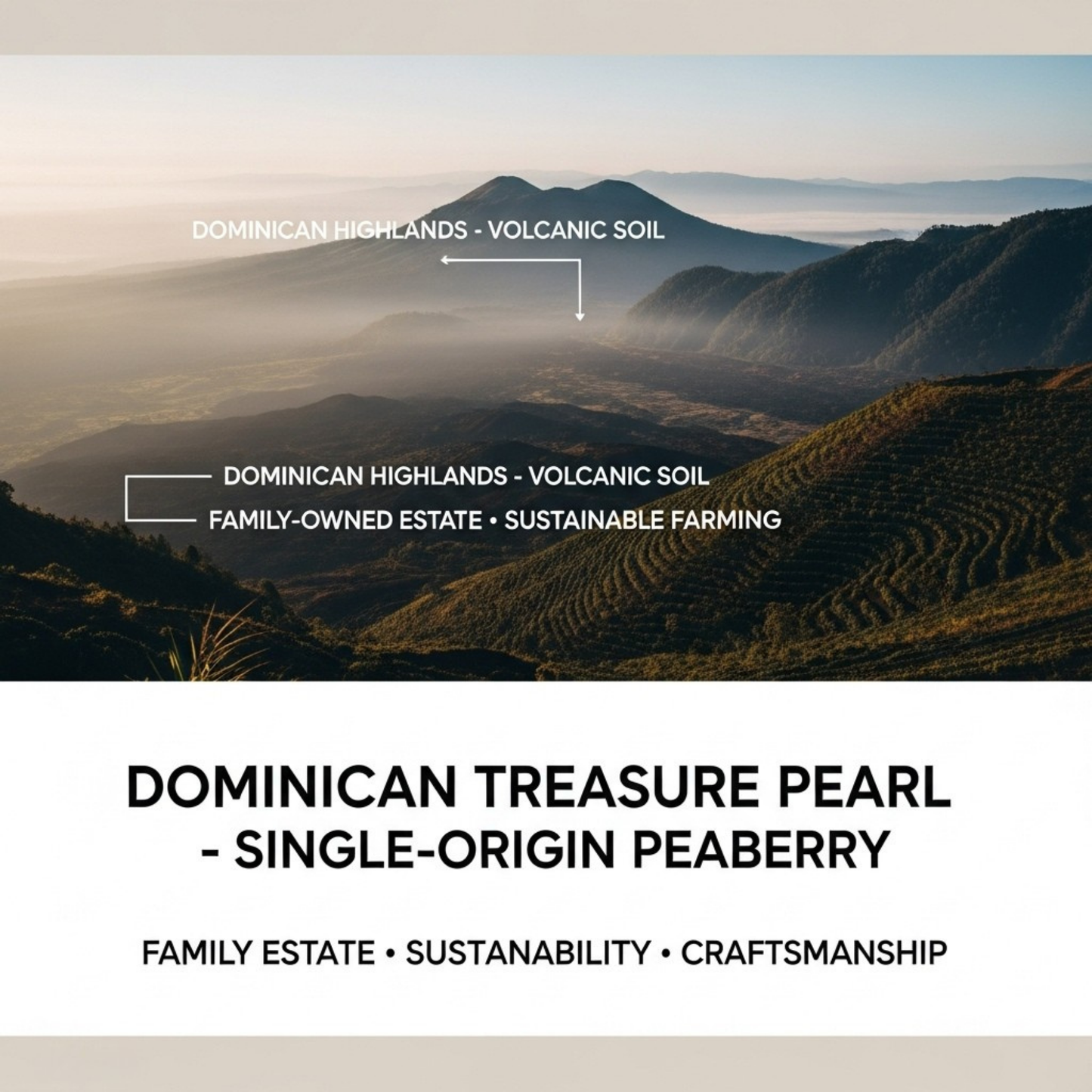 Dominican Treasure Pearl, 1 LB