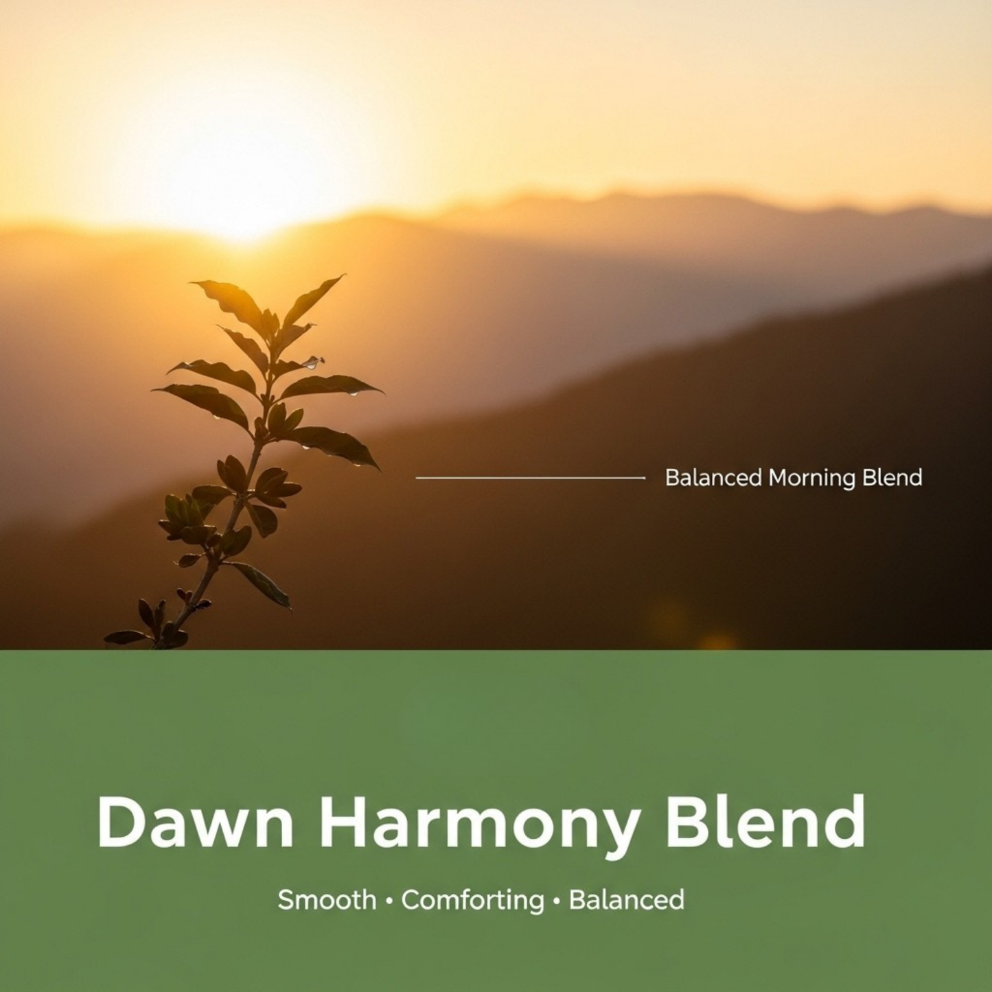 Dawn Harmony Blend Decaf, 5 LB