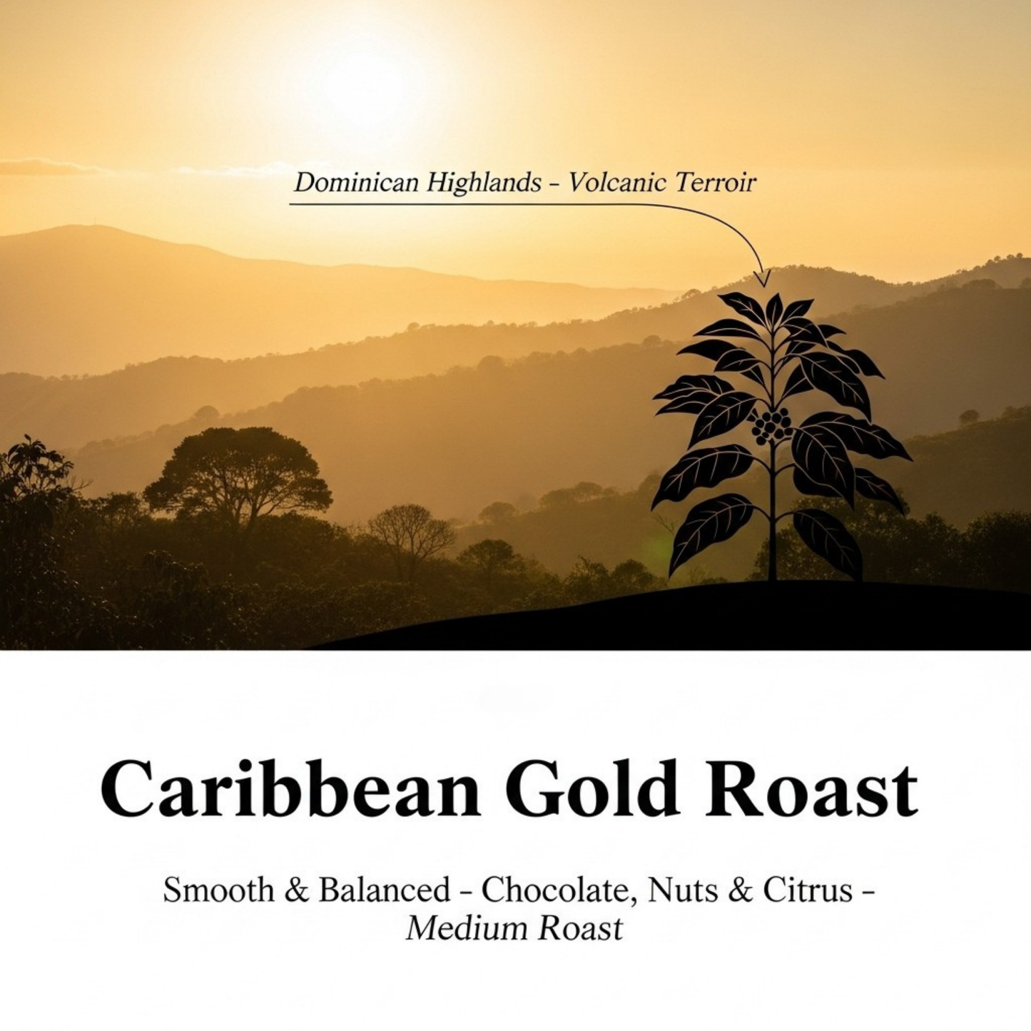 Gold Roast Dominican, 1 LB