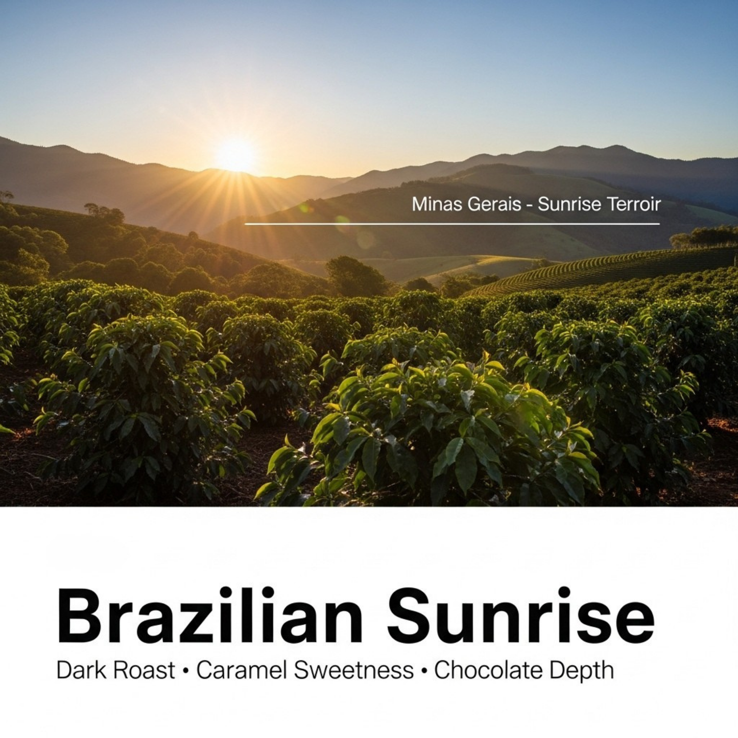 Brazilian Sunrise, 5 LB