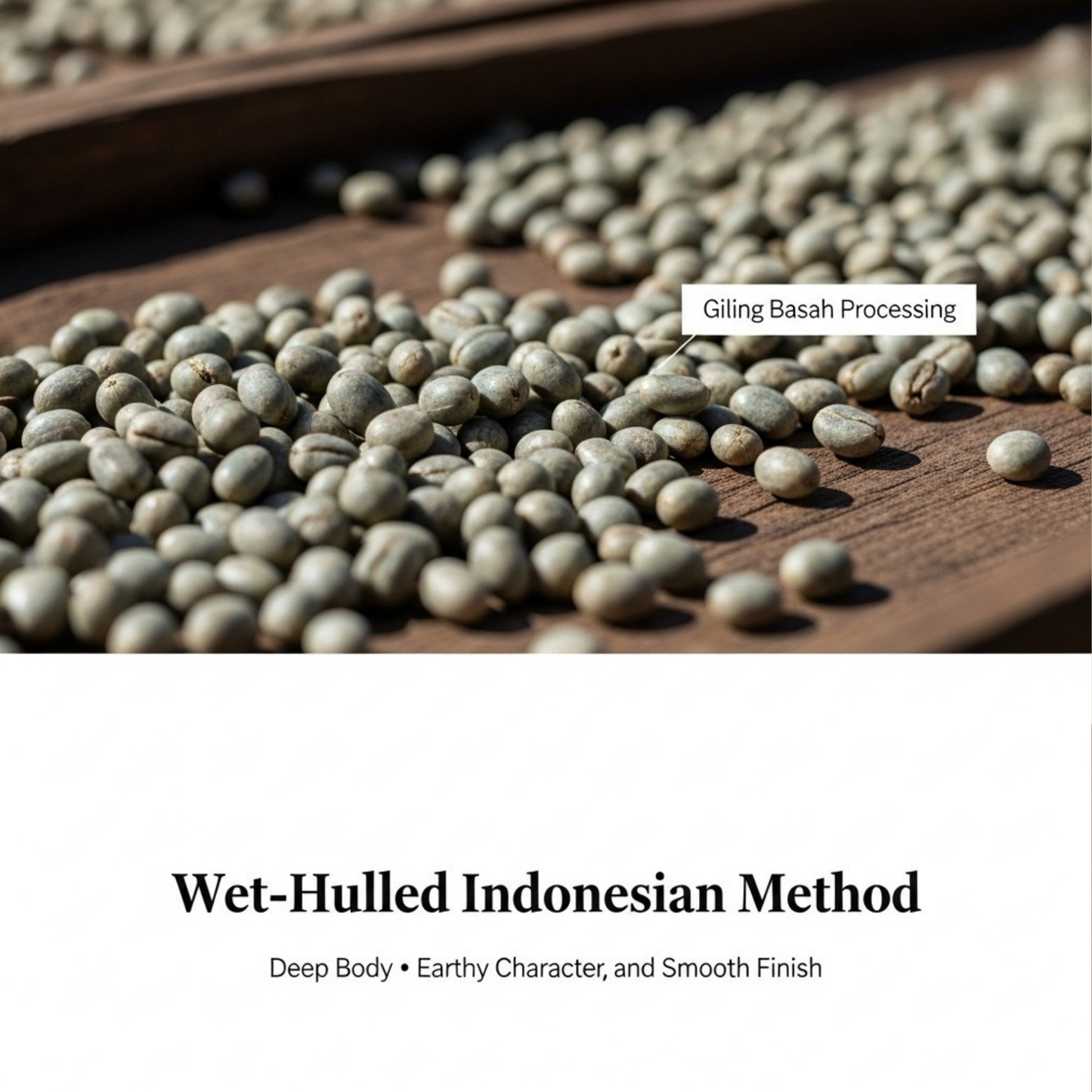Sumatra Wild Harmony Indonesia, 1 LB