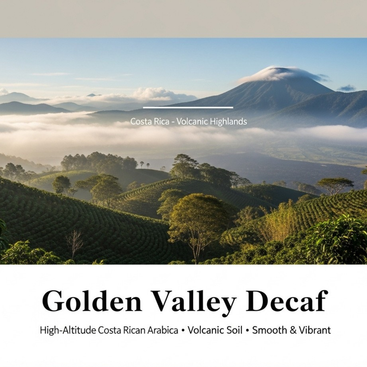 Golden Valley Decaf Costa Rica, 5 LB
