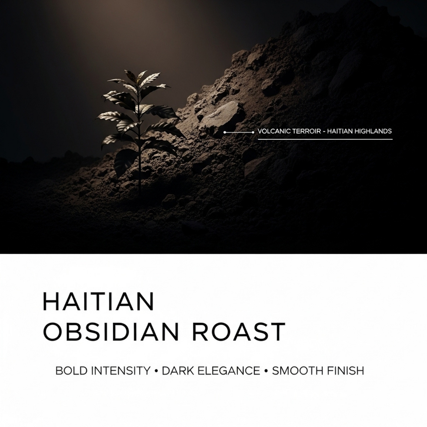 Haitian Obsidian Roast, 1 LB