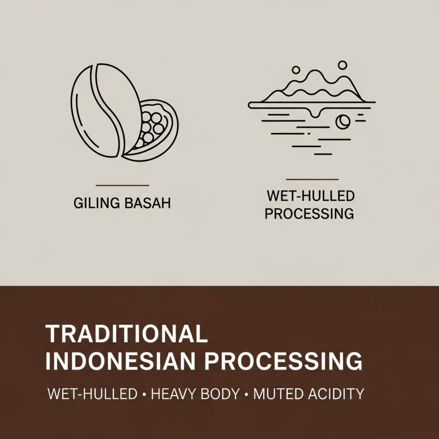 Mandheling Eclipse Bali, 1 LB
