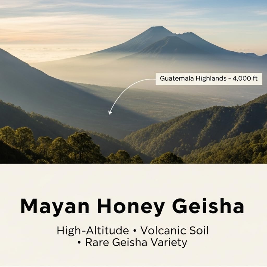 Mayan Honey Geisha Guatemala, 1 LB