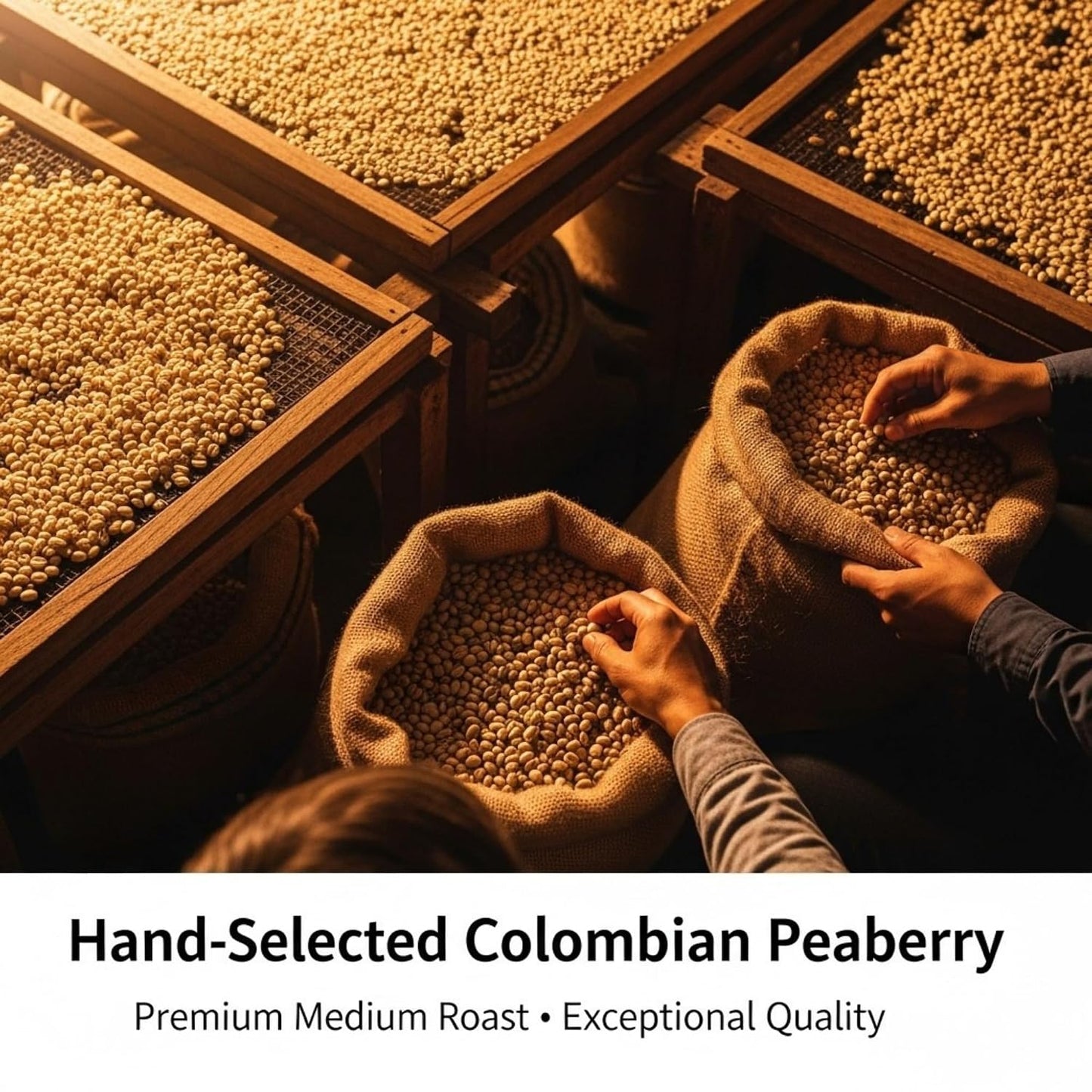 Andean Midnight Roast Colombian, 1 LB