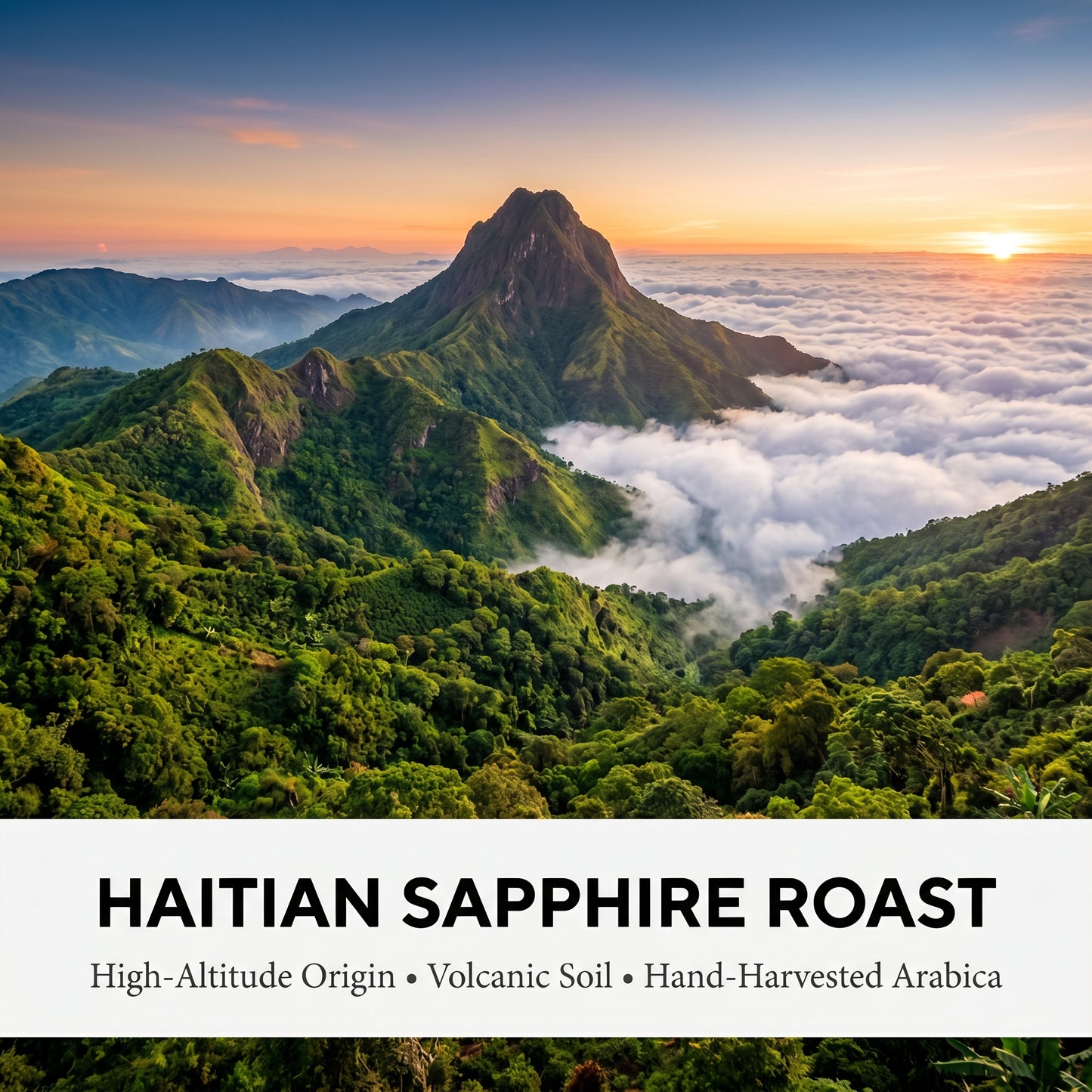Haitian Sapphire Roast, 1 LB
