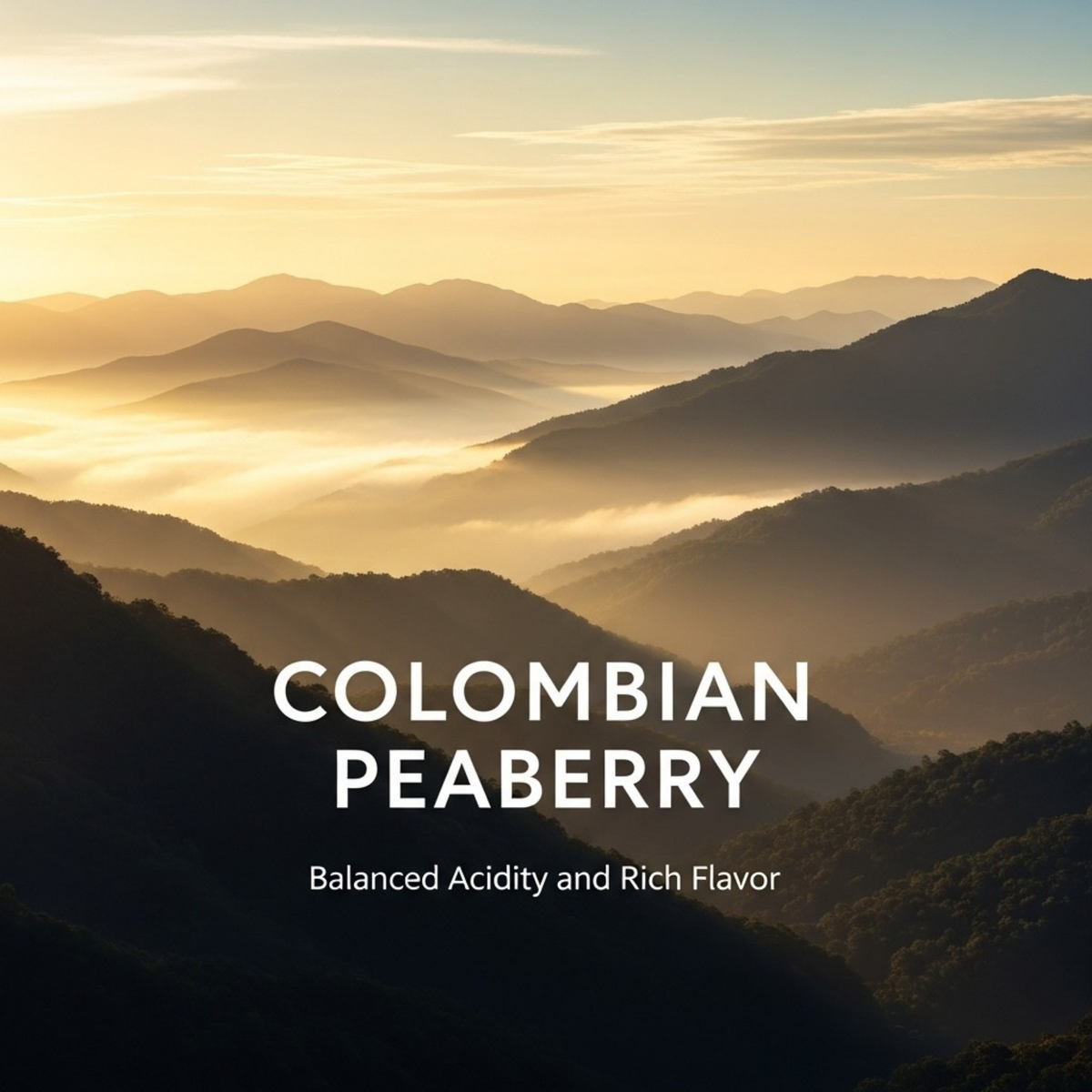 Andean Midnight Roast Colombian, 5 LB