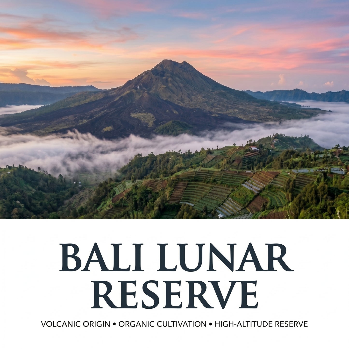 Bali Lunar Reserve, 5 LB